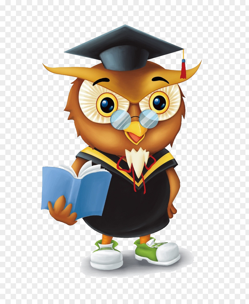 Owl Bird Cartoon PNG