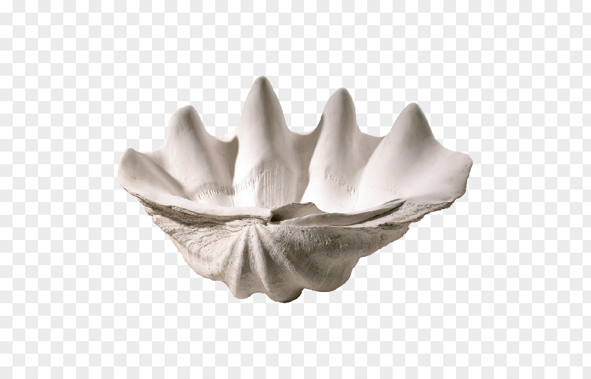 Seashell Giant Clam Bowl Oyster PNG