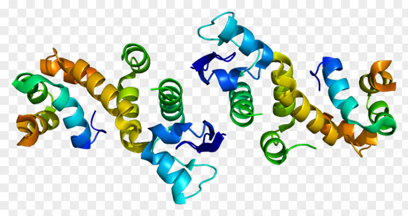 SKP1A Homo Sapiens P-glycoprotein Enzyme PNG