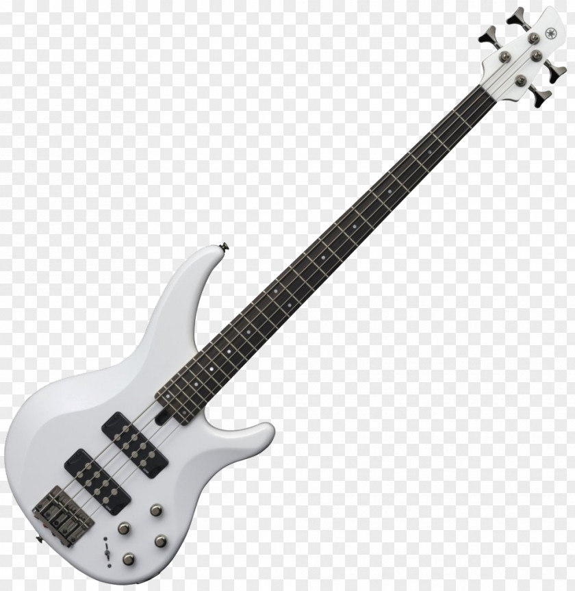 Bass Guitar Double Fingerboard String PNG