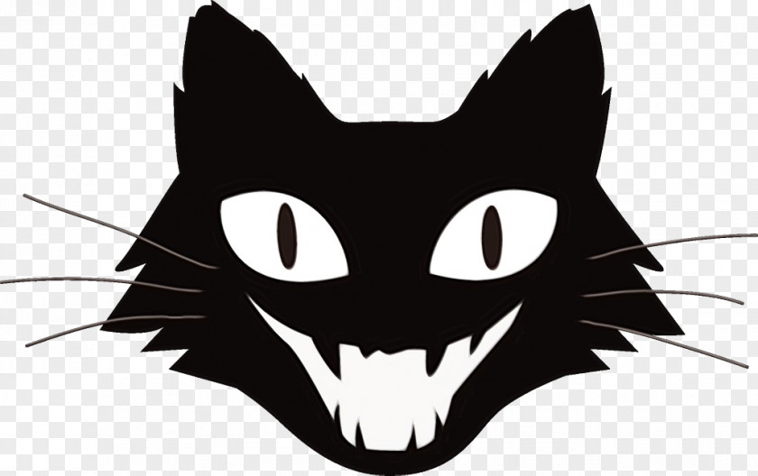 Cat Snout Whiskers Head PNG