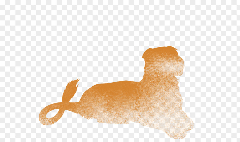 Golden Ears Of Wheat Dog Canidae Snout Carnivora Animal PNG