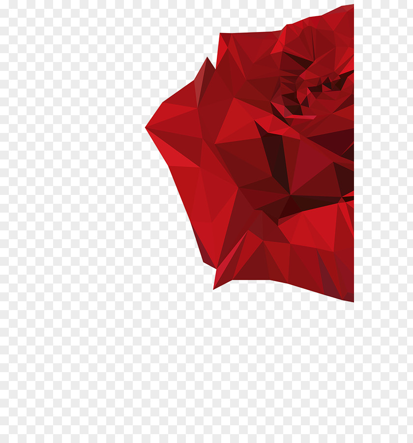 Low Poly Product Design Rectangle PNG