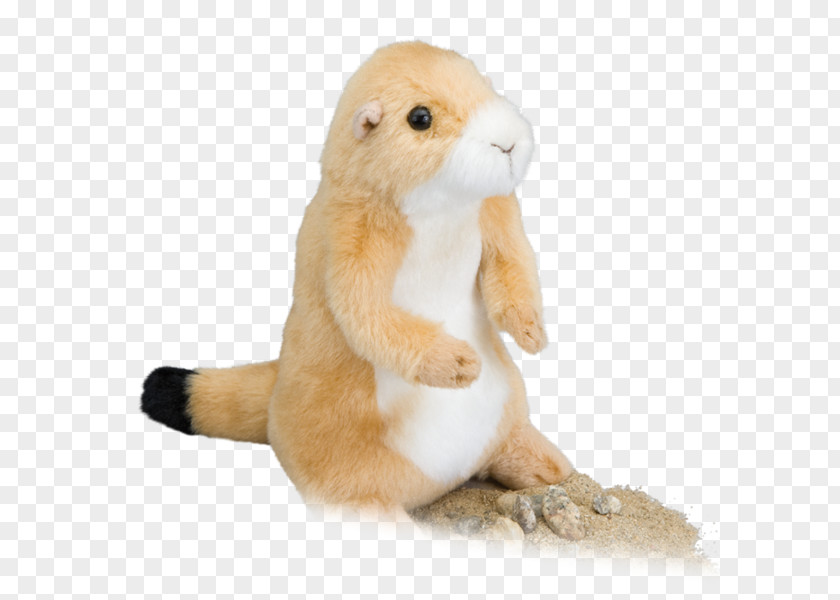 Stuffed Dog Prairie Coyote Hare Animals & Cuddly Toys PNG