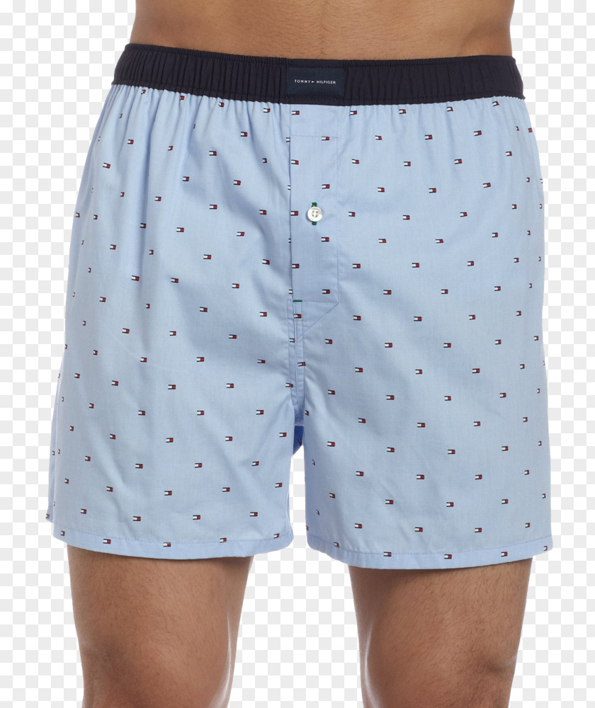 Underwear Swim Briefs Boxer Shorts Trunks Underpants PNG