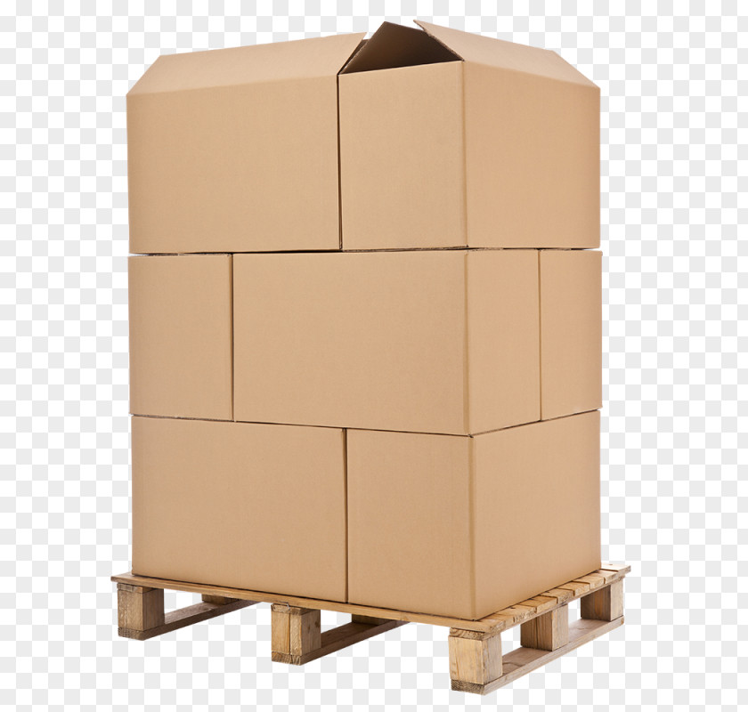 Design Cardboard Carton PNG