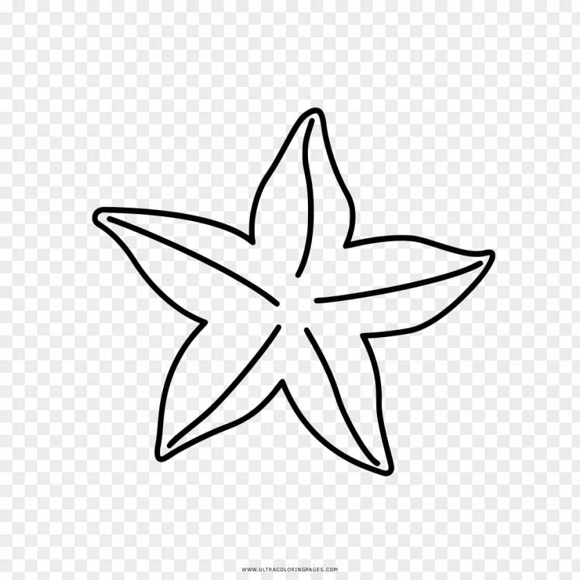 Estrela Do Mar Coloring Book Drawing Starfish Clip Art PNG