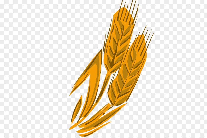 Hand Painted Mature Wheat Download PNG