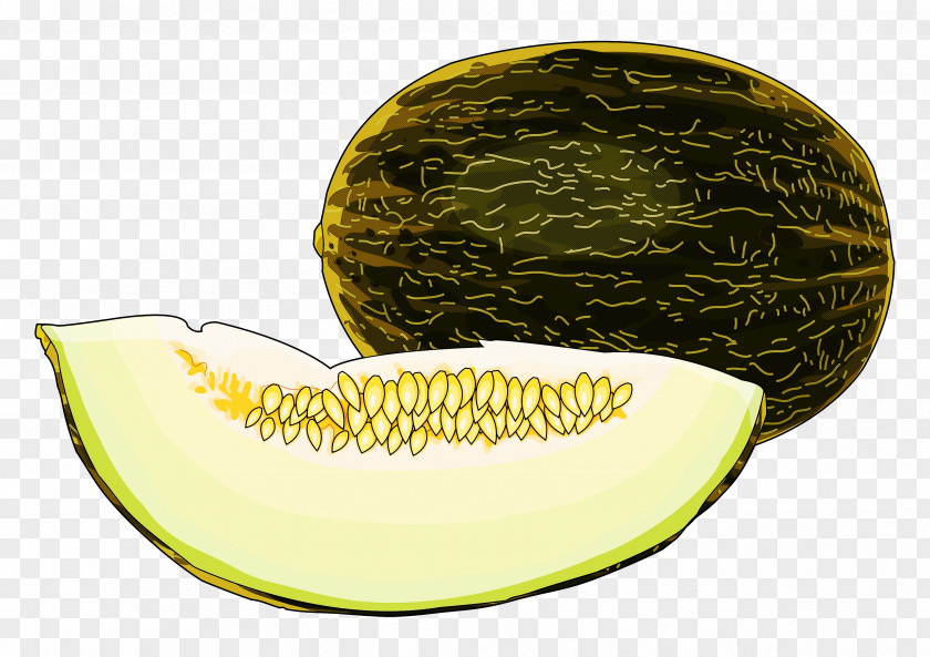Melon Galia Muskmelon Cantaloupe Fruit PNG