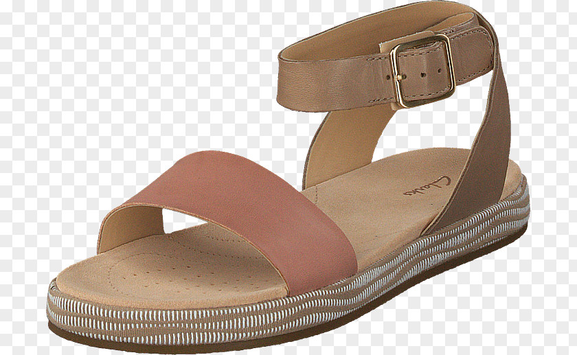 Sandal Slipper Shoe Shop C. & J. Clark PNG
