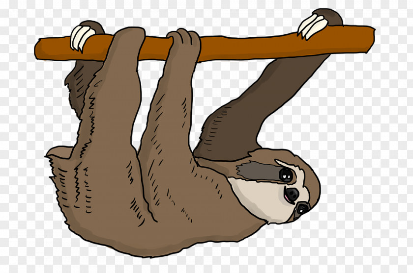 Sloth Drawing Three-toed Vector Graphics Clip Art PNG