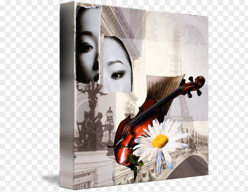 Violin Paper Cello Gallery Wrap Pont Alexandre III PNG