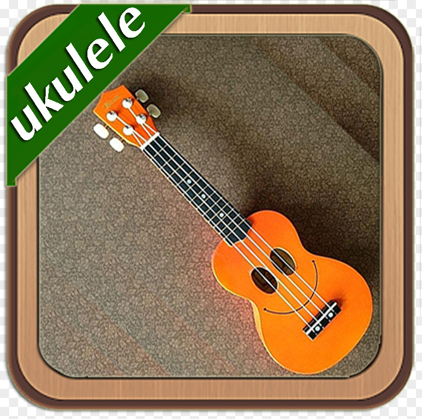 Bass Guitar Ukulele Acoustic Acoustic-electric PNG