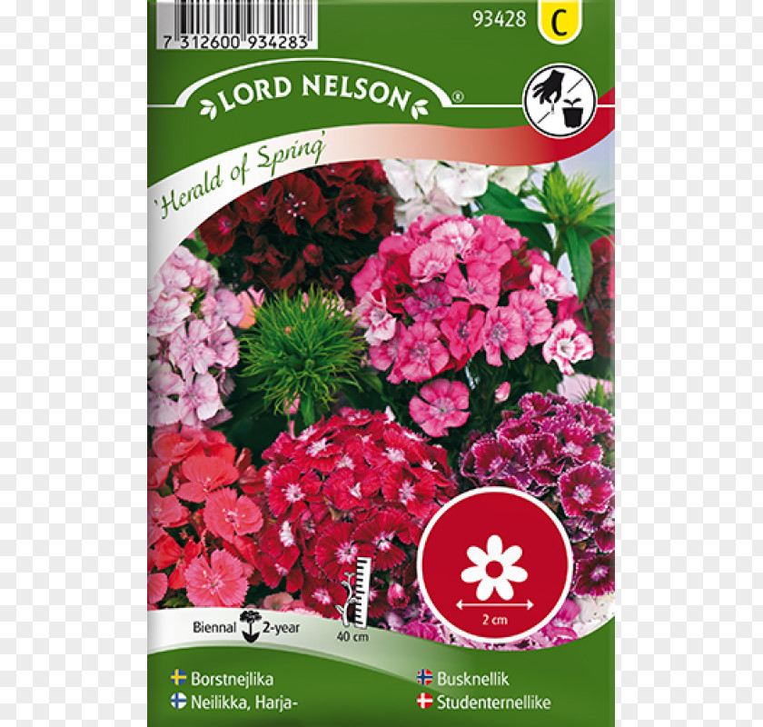 Dianthus Sweet William Seed Biennial Plant Pea Perennial PNG