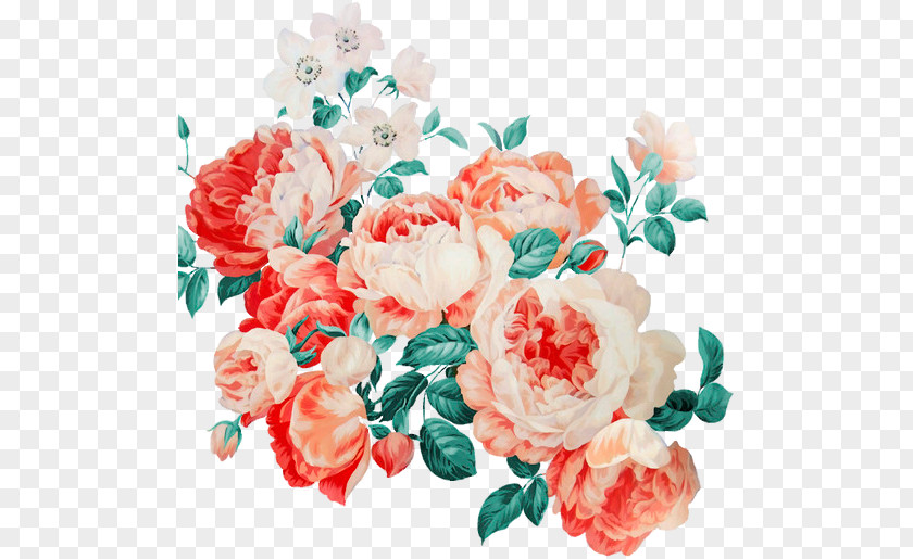 Flower Garden Roses Cabbage Rose Floribunda Floral Design Cut Flowers PNG