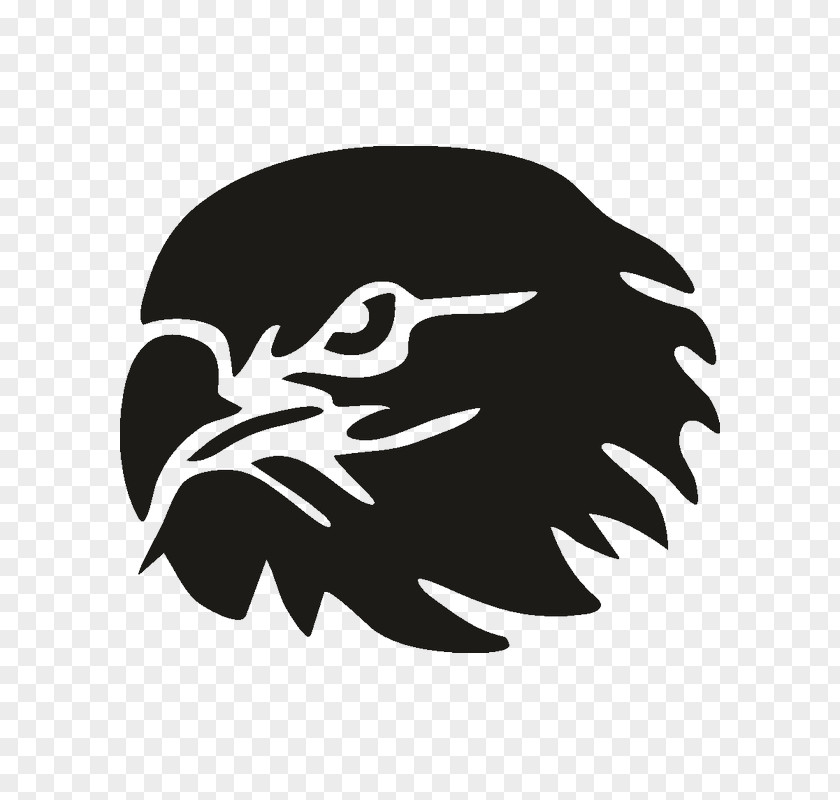Bird Of Prey Logo Beak Silhouette PNG