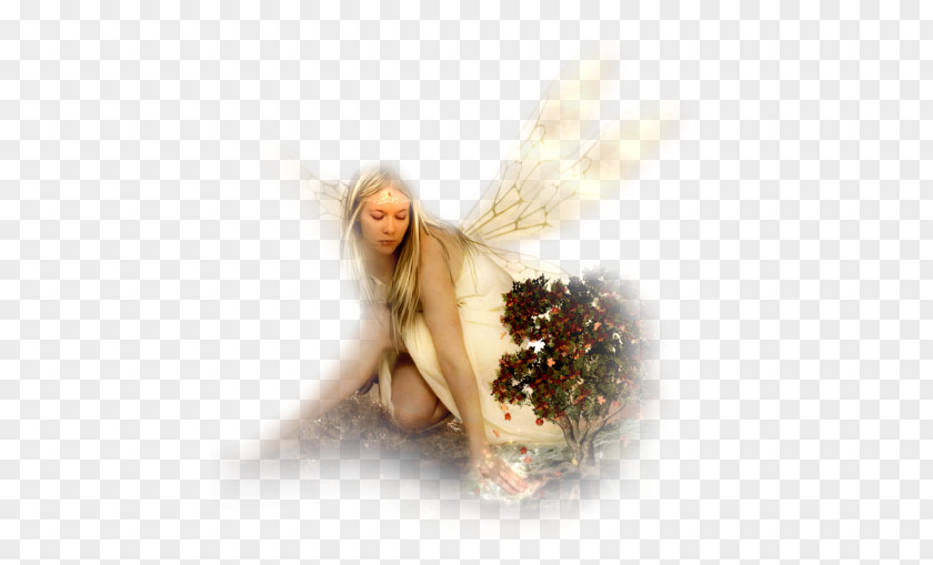 Fairy Féerie Myth Character Angel PNG