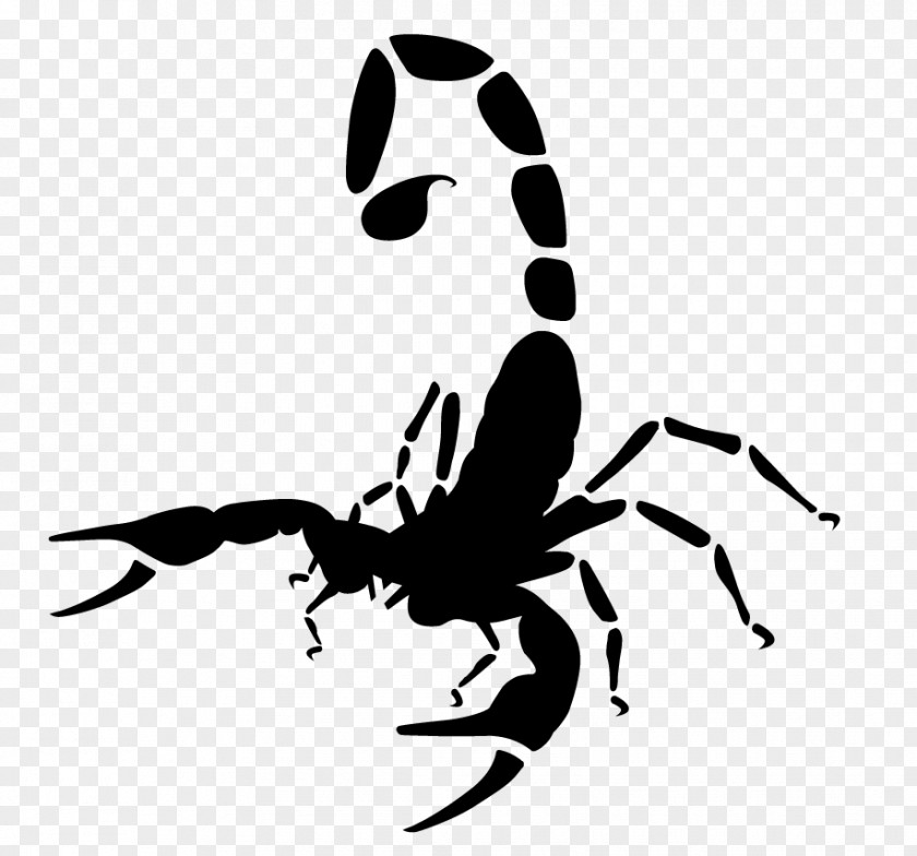 Parasite Spider Nike Just Do It Logo PNG