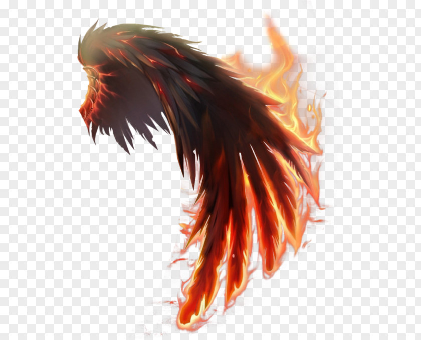 Wings Of Fire PNG