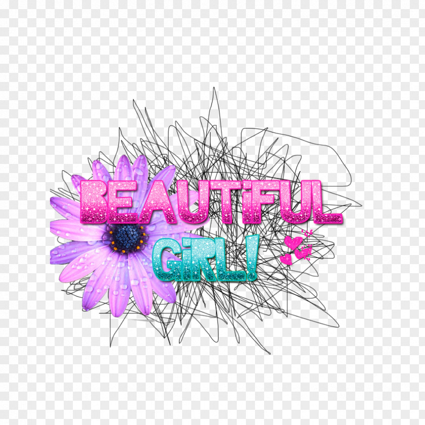 Beautiful Text Graphic Design PNG