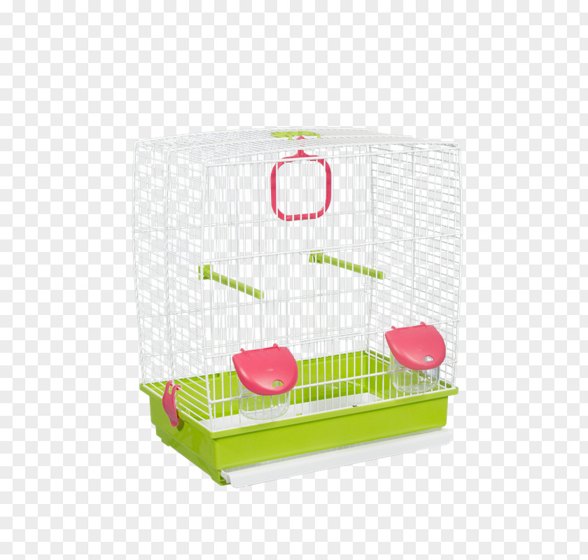Bird Domestic Canary Cage Budgerigar Aviary PNG