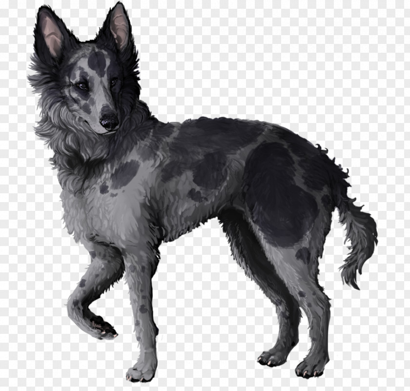 Digital Markings Mudi Tervuren Shiloh Shepherd Dog Kunming Wolfdog Kuvasz PNG