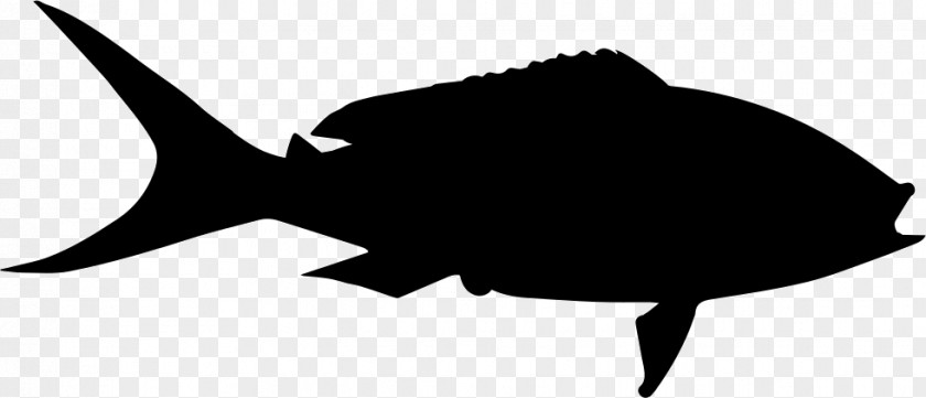 Fish Clip Art Japanese Amberjack PNG