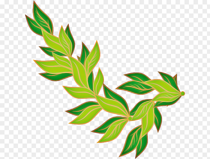 Herbaceous Plant Flowering Leaf Flower Tree Stem PNG