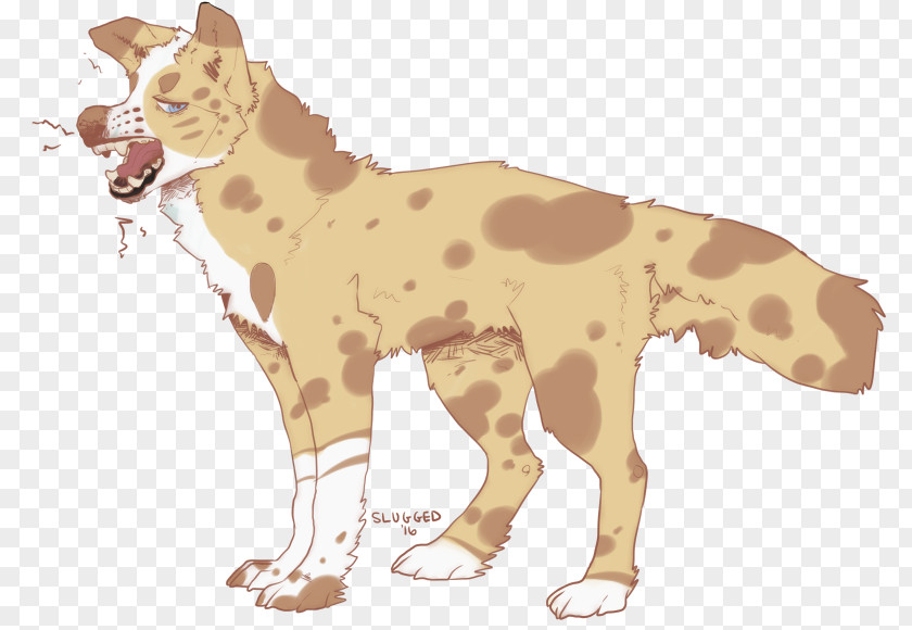 Lion Cheetah Cat Mammal Giraffe PNG