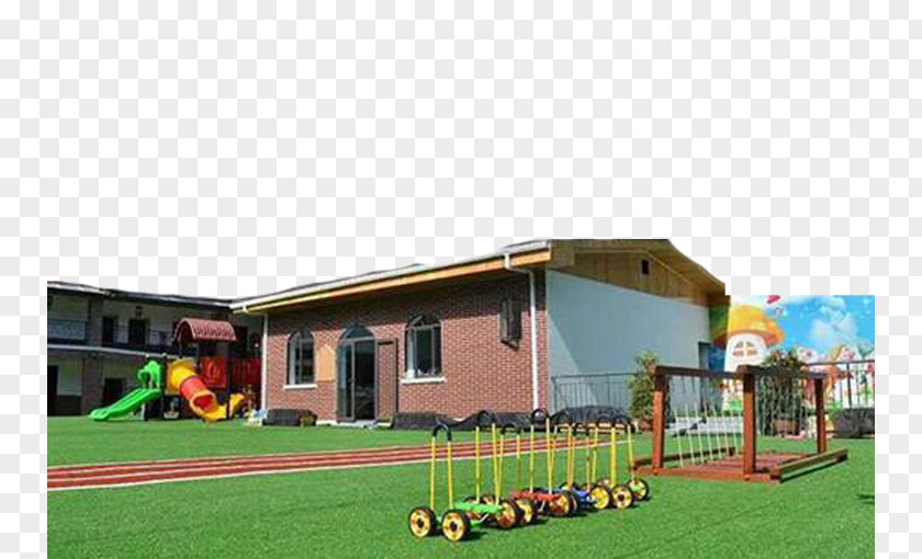 Track And Field Football Pitch Lawn PNG