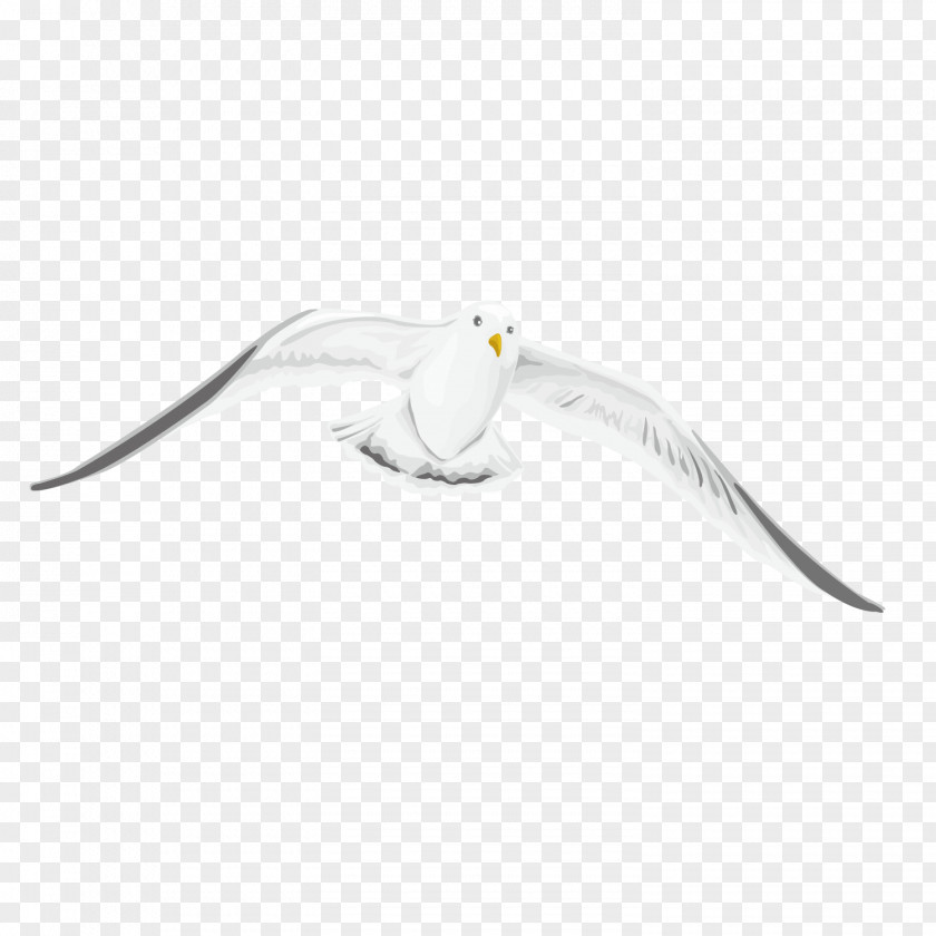 Vector Pattern Flying Pigeon Beak PNG