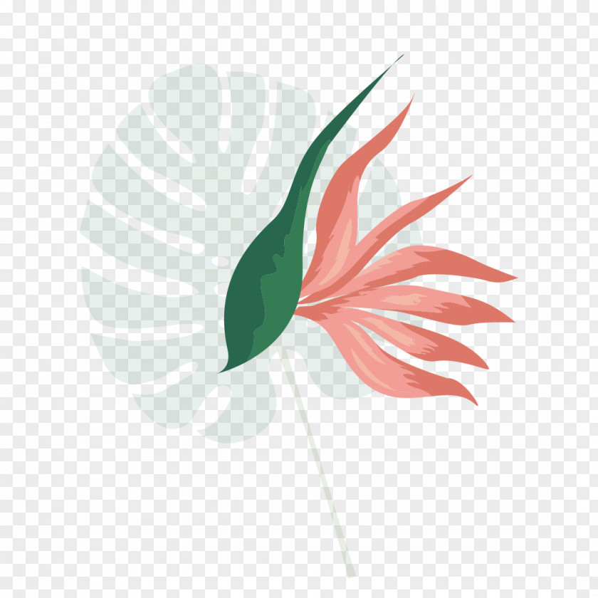 Feather Logo Palm Leaf PNG