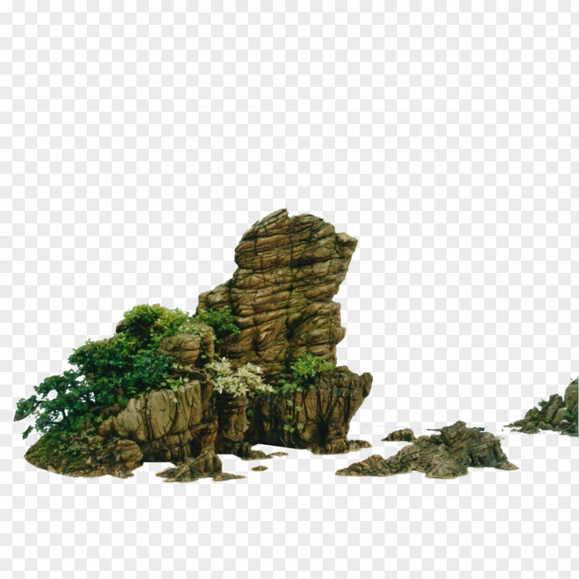 Landscape Design,stone,Kistler,Environmental Design,Landscape Design Bonsai Nature PNG