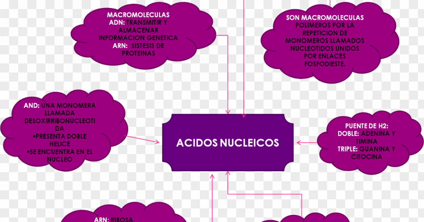 Mosaic Virus Biology Nucleic Acid Cell PNG