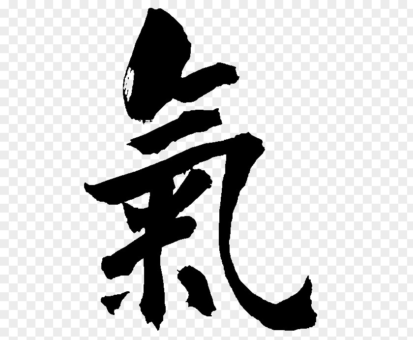 Aikido Kenjutsu Martial Arts Kanji Budō PNG