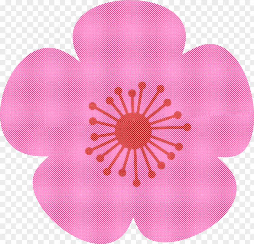 Cherry Flower Floral PNG