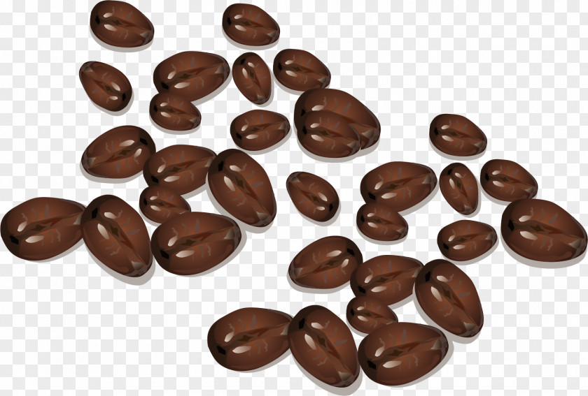 Coffee Beans Material Picture Bean Tea Cafe Starbucks PNG