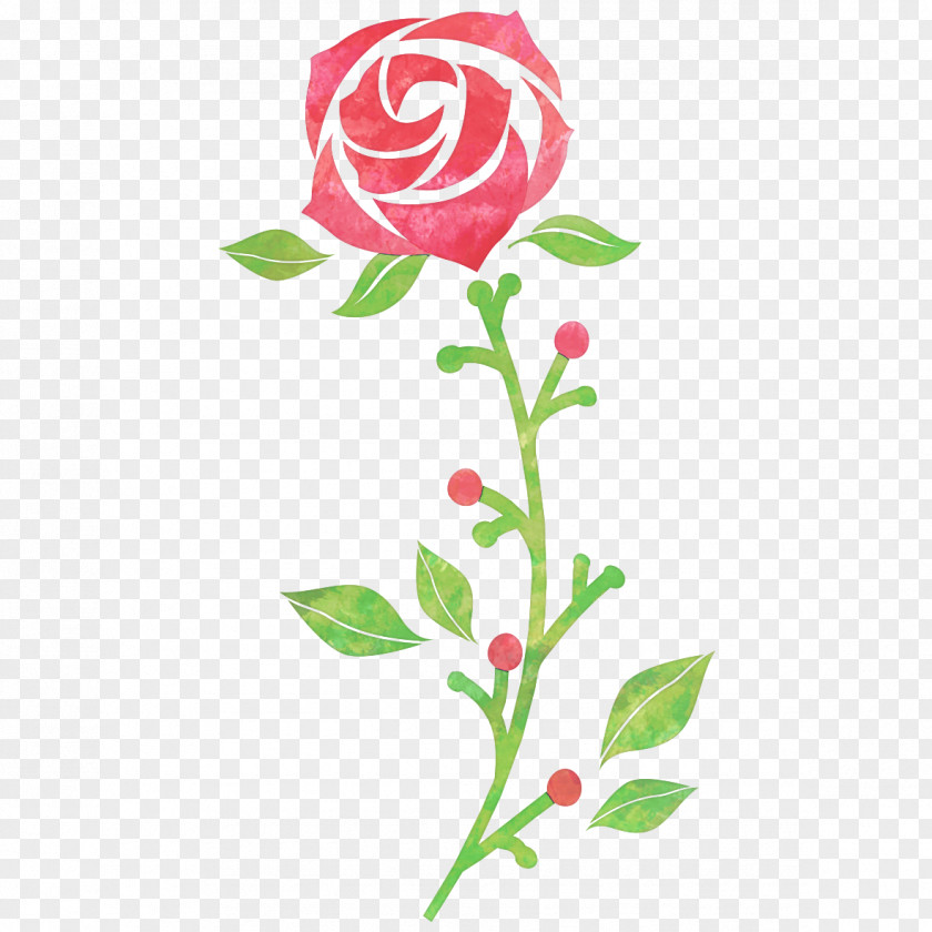 Garden Roses Drawing Illustration Flower PNG