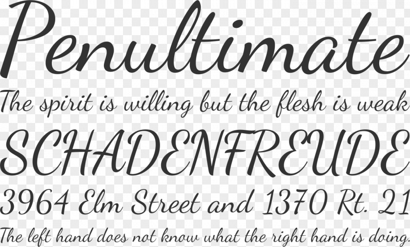 Script Typeface Font Family Open-source Unicode Typefaces Typography PNG