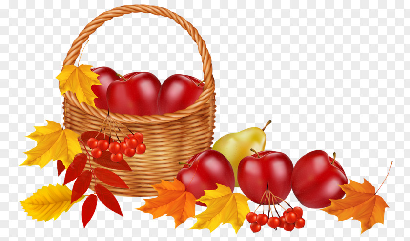 Autumn Clip Art PNG