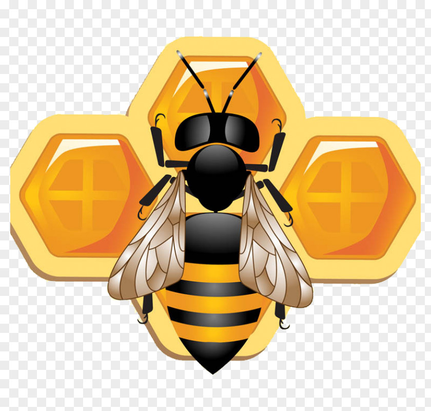 Bee Illustrator PNG