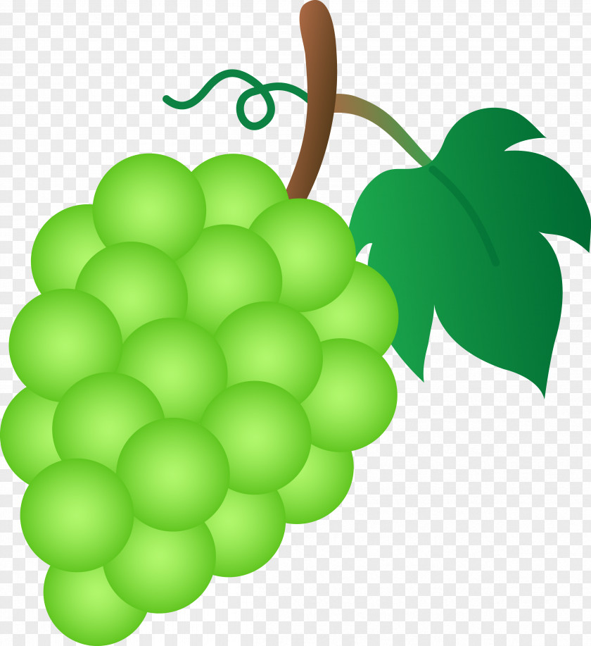 Cartoon Grapes Common Grape Vine Sultana Clip Art PNG
