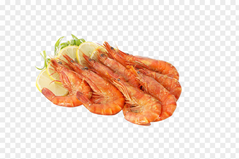Delicious Shrimp Caridea Bratwurst PNG