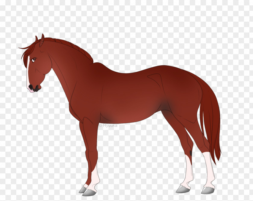 Horse Stallion Mare Royalty-free PNG