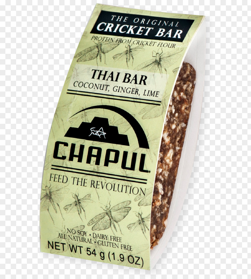 Insect Cricket Flour Food Thai Cuisine PNG