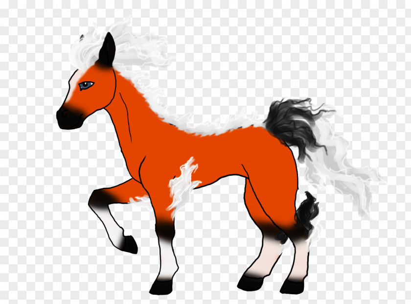 Mustang Pony Foal Colt Stallion PNG