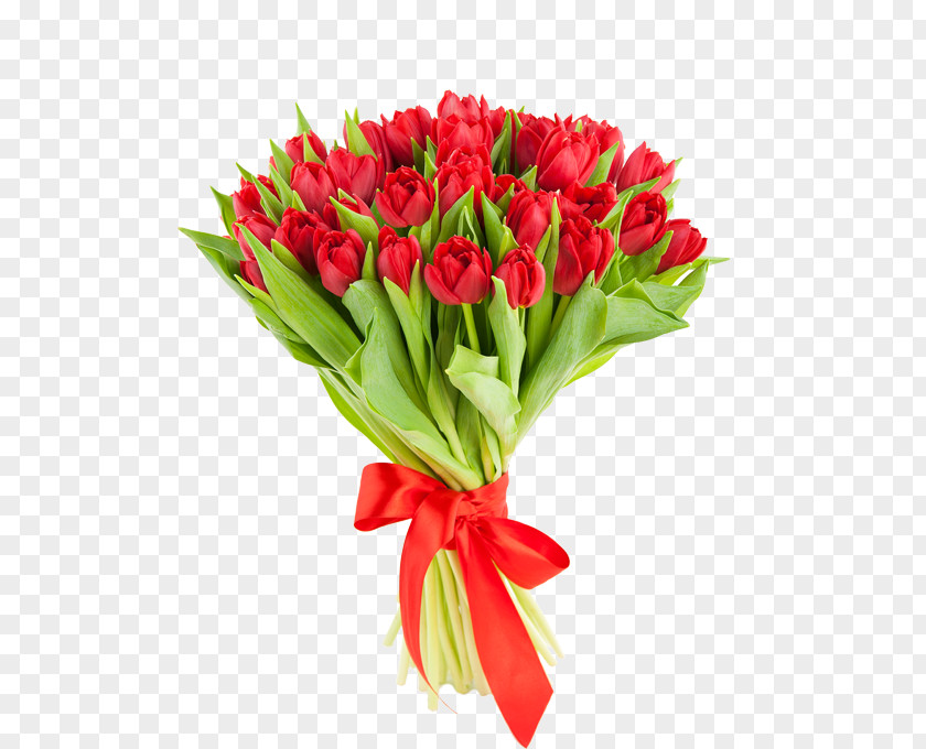 Tulip Netherlands Flower Bouquet Red PNG
