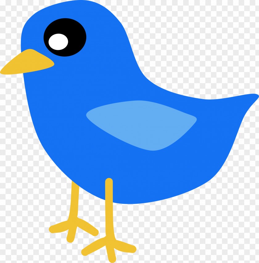 Bluebird Perching Bird Tweety PNG