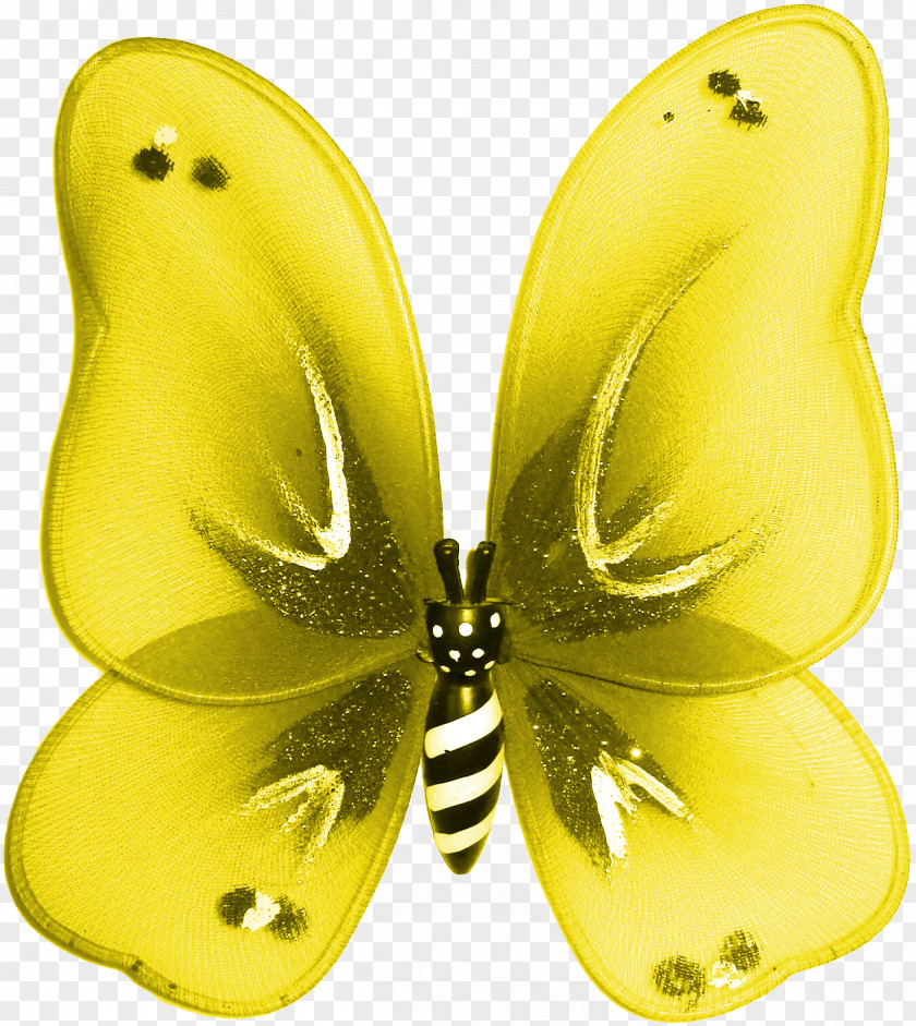 Butterfly Insect De Oruga A Mariposa Caterpillar Moth PNG