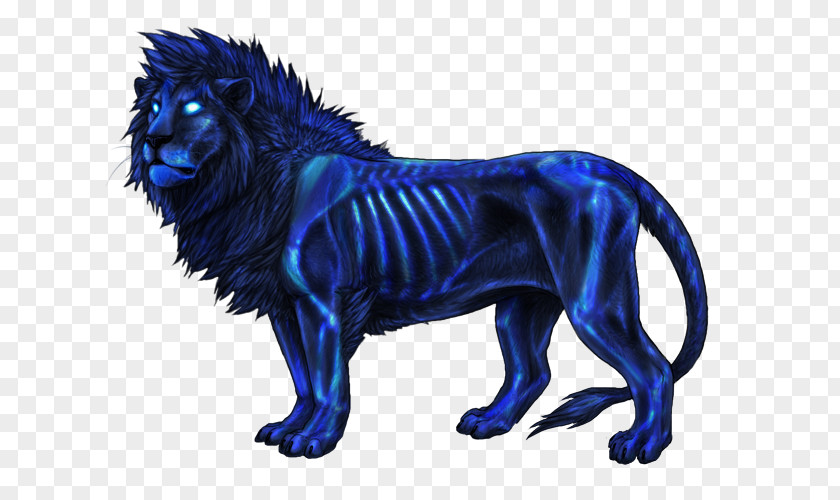 Lion Big Cat Leopon Felidae PNG